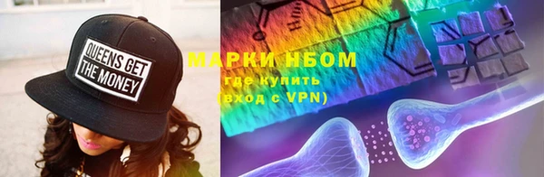 индика Алексин