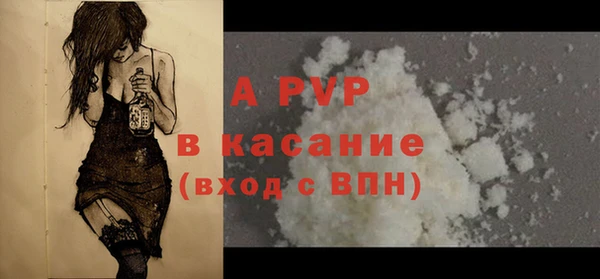 индика Алексин