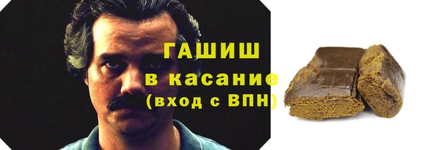 индика Алексин