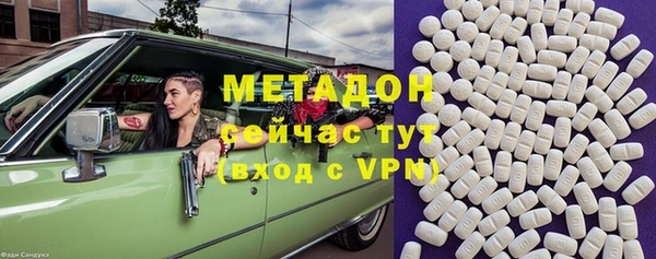 индика Алексин