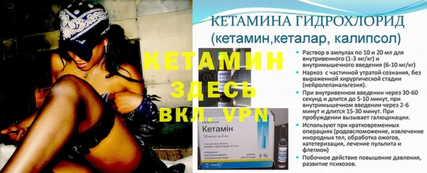 индика Алексин