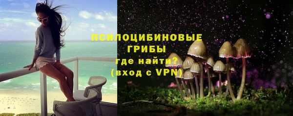 дмт Алексеевка