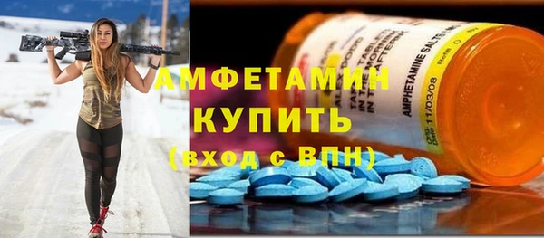 индика Алексин